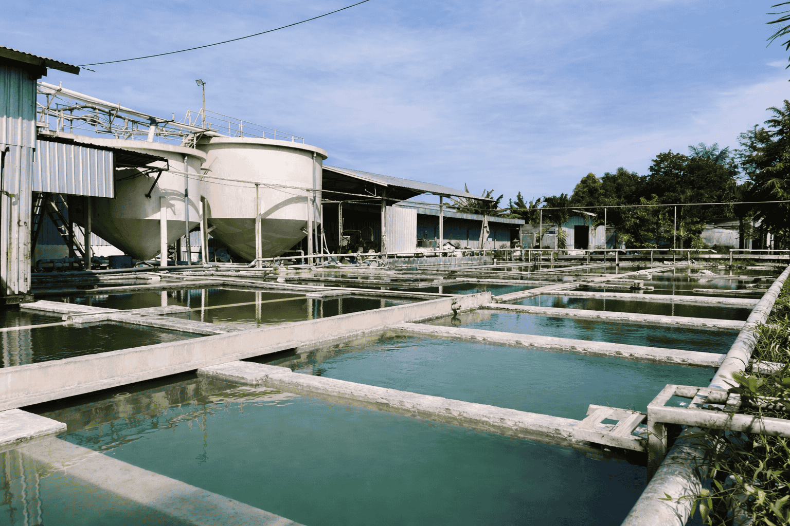 Mark Dynamics Gallery & Products